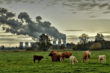 Ce "signal d’alerte" trouvé par les chercheurs nous dira quand le climat va s’effondrer