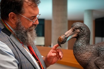 Review of 400 years of scientific literature corrects the Dodo extinction record