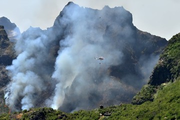 Portugal seeks EU help as wildfire threatens UNESCO-listed forest