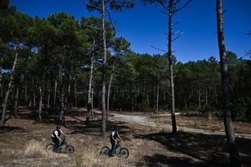 Incendies : deux ans après, « débauche de moyens » dans les forêts de Gironde