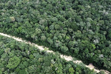 Ils auraient "empiété" sur les terres d’une tribu indigène : deux bûcherons tués en Amazonie par des autochtones lors d’une attaque au tir à l’arc