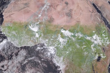 An unusual shift in the weather has turned the Sahara green