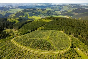 Extensive afforestation and reforestation can brake global warming