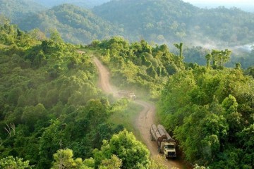 Déclin de la biodiversité : alerte sur les points de bascule des écosystèmes