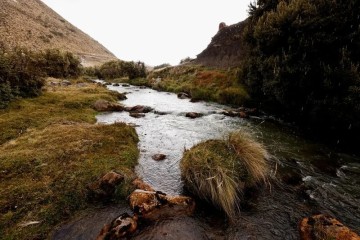 Colombia and Ecuador fight to save vital wetlands amid drought