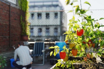 Jardins urbains : comment créer un jardin chez soi et participer à une révolution verte dans sa ville ?