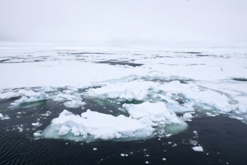 Melting Arctic sea-ice could affect global ocean circulation, study warns