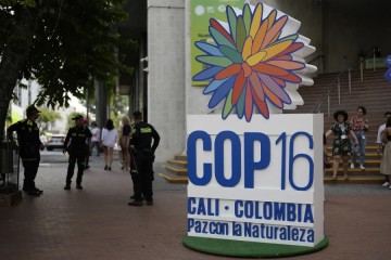 Negotiations stall over some crucial issues on final day of UN biodiversity summit in Colombia