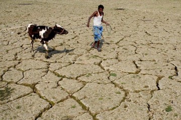 Le changement climatique ajoute encore à la situation « infernale » des réfugiés, selon l’ONU