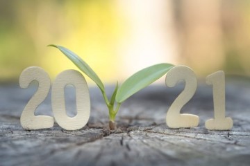 Predicting Environmental Trends for 2021