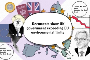 Documents show UK government exceeding EU environmental limits