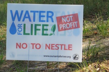 The Water Is Already Low At a Florida Freshwater Spring, but Nestlé Wants More