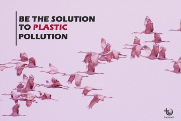 World Migratory Bird Day; Time To Stop Feeding Birds Plastic