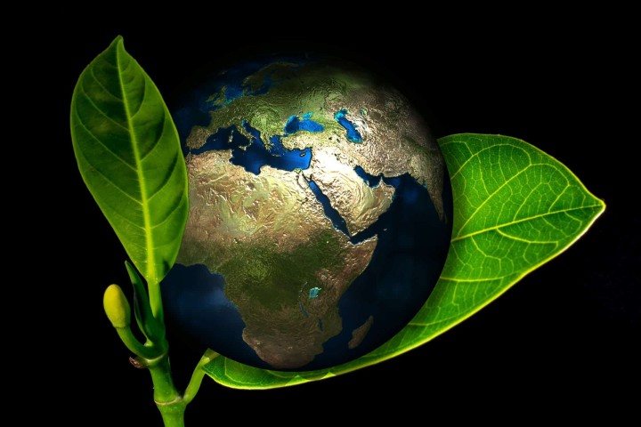 5 juin 2021 : Journée mondiale de l'environnement