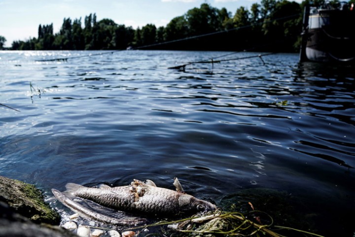 Des rivières françaises polluées aux détergents, insecticides, révèlent deux études