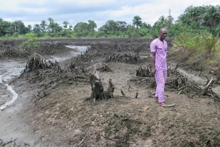 NIGERIA : un centre traque la pollution pétrolière dans le Delta du Niger