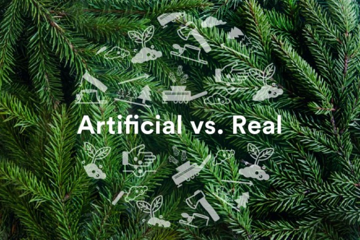 Artificial trees or real trees: Which is better for the environment?