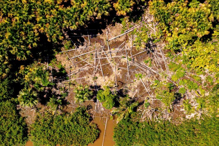 Major fashion brands linked to deforestation in the Amazon, report finds