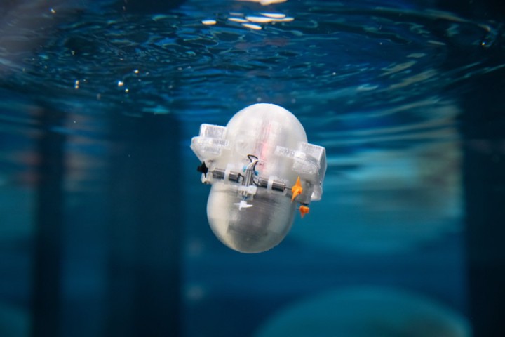 Des ingénieurs apprennent à l’IA à naviguer dans l’océan avec un minimum d’énergie