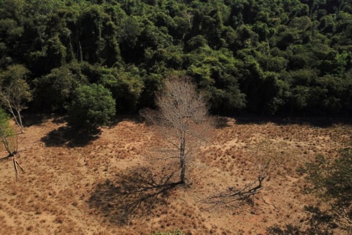 Brazil: deforestation jumps in world’s largest savanna as scientists raise alarm