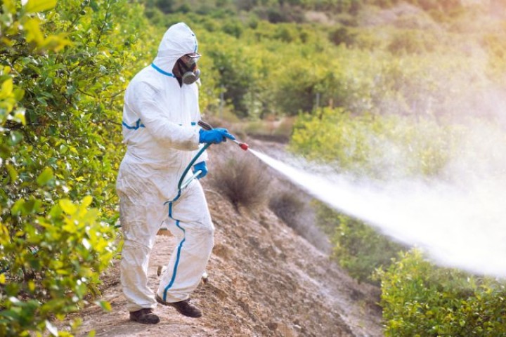 LEAK : la Commission européenne va proposer des objectifs de réduction des pesticides contraignants pour l’UE