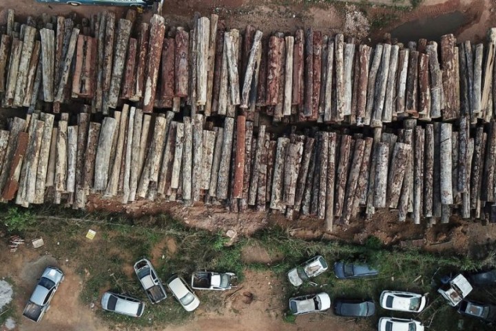 Brazil's Amazon deforestation hits April record, nearly double previous peak