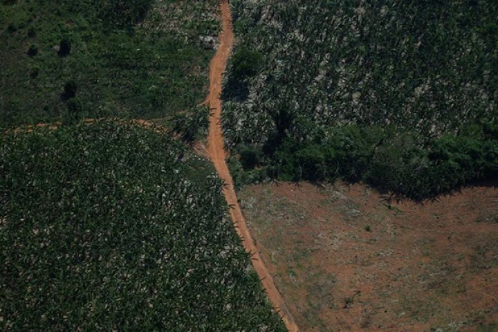 Amazon Deforestation Hits New Record In 2022, Area 5 Times Size Of New York Destroyed