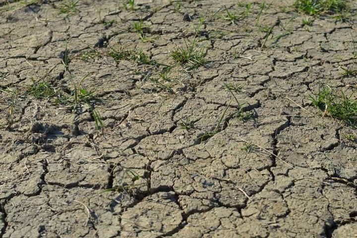 Le manque de pluie fait persister les conditions de sécheresse dans la Corne de l’Afrique, selon l’IGAD