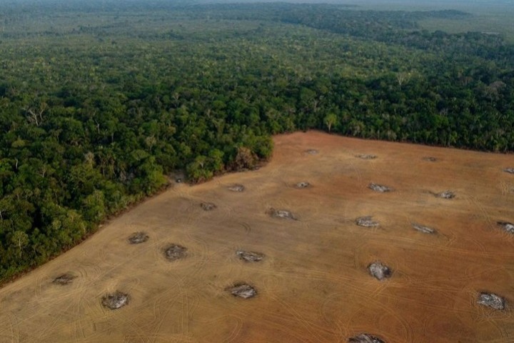 Recul de la déforestation en Amazonie brésilienne sur un an