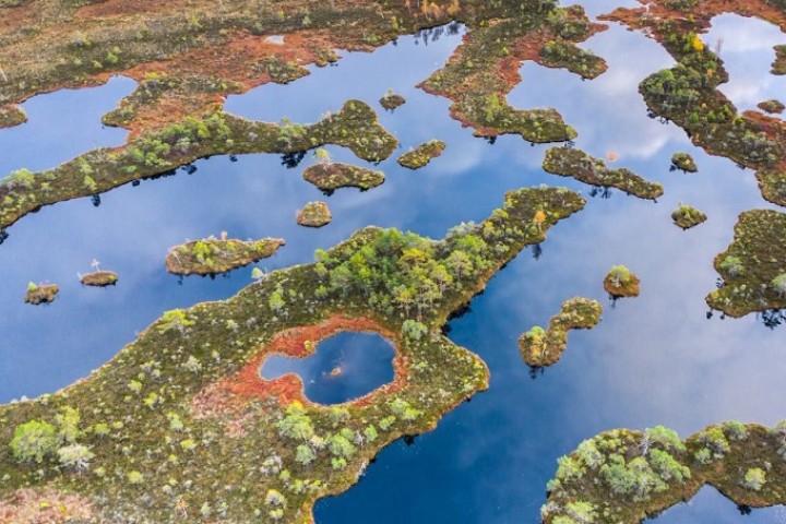 Large-scale peatland restoration necessary for climate and biodiversity