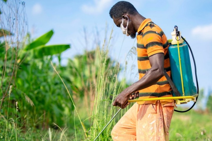 « 385 millions de personnes sont victimes d’empoisonnement par les pesticides », regrette le directeur de la Fondation Heinrich Böll Sénégal