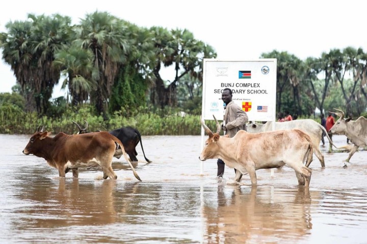 Cape Verde bearing the brunt of the effects of climate change