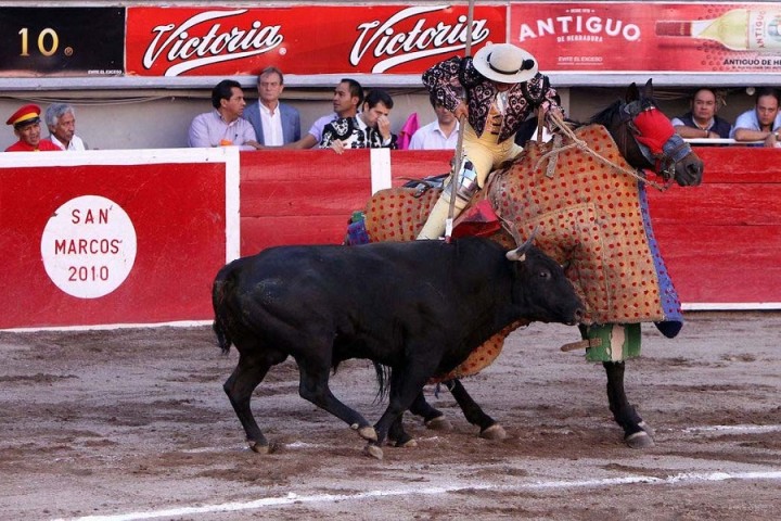 Le cheval, autre victime des corridas