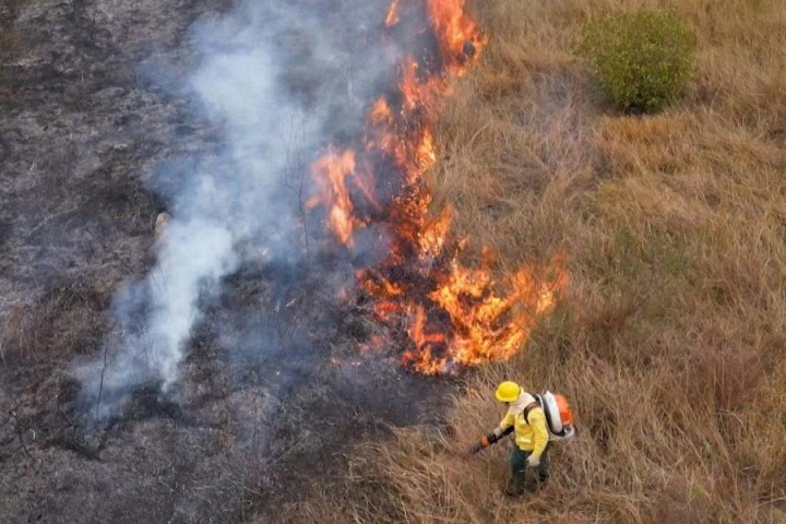 Au Pantanal, une pompière endeuillée lutte contre les flammes