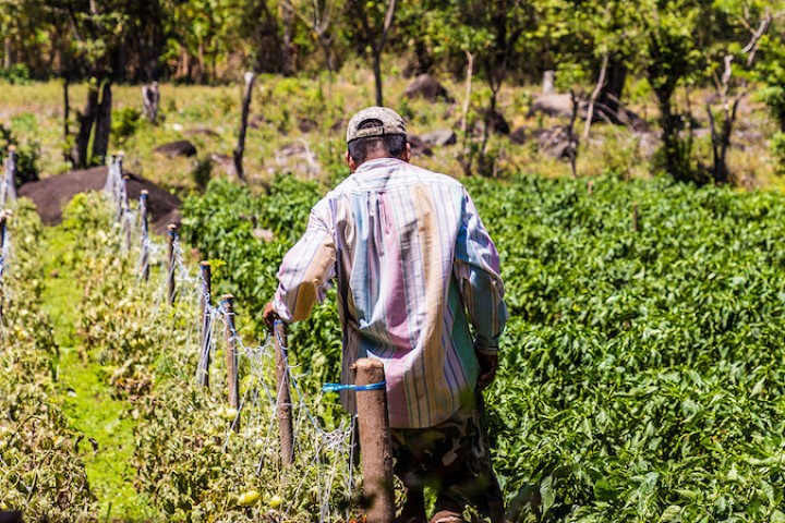 UN climate fund axes Nicaragua forest project over human rights concerns