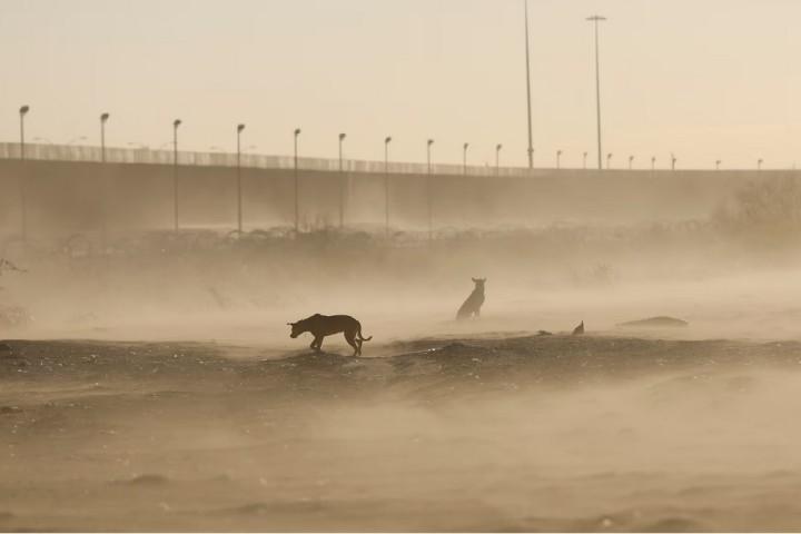 Far right using climate crisis as bogeyman to frighten voters and build higher walls