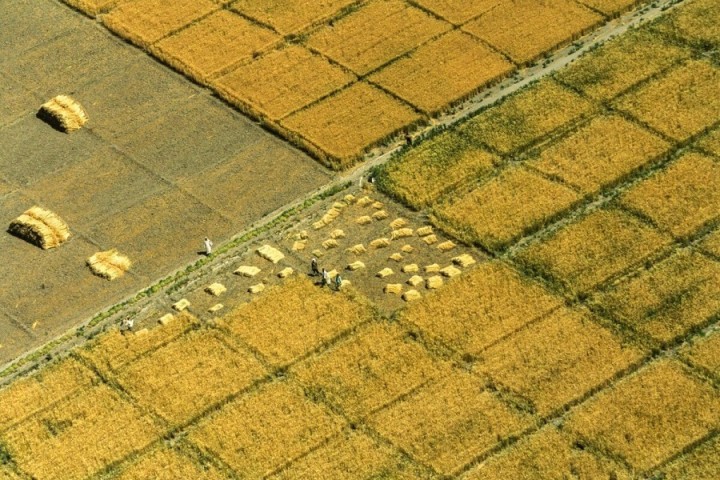 Dans les pays du Sud, la transition agroécologique au défi du financement