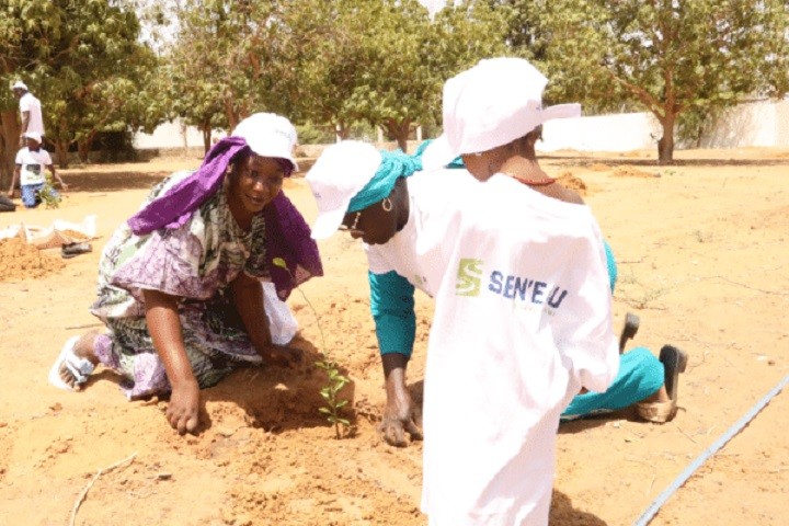 Electrochlorination, solar, biodiversity… SEN’EAU’s green revolution in Senegal