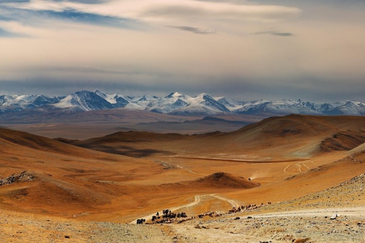 Mongolie : le nomadisme au temps du changement climatique