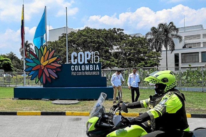 COP16 biodiversité: les politiques entrent en scène à Cali pour trancher les débats