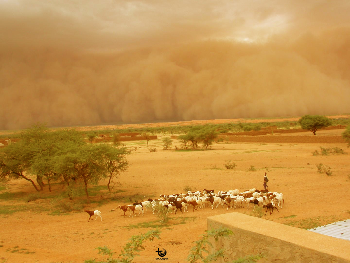 Climate Change: A Walk Through the Sahel 