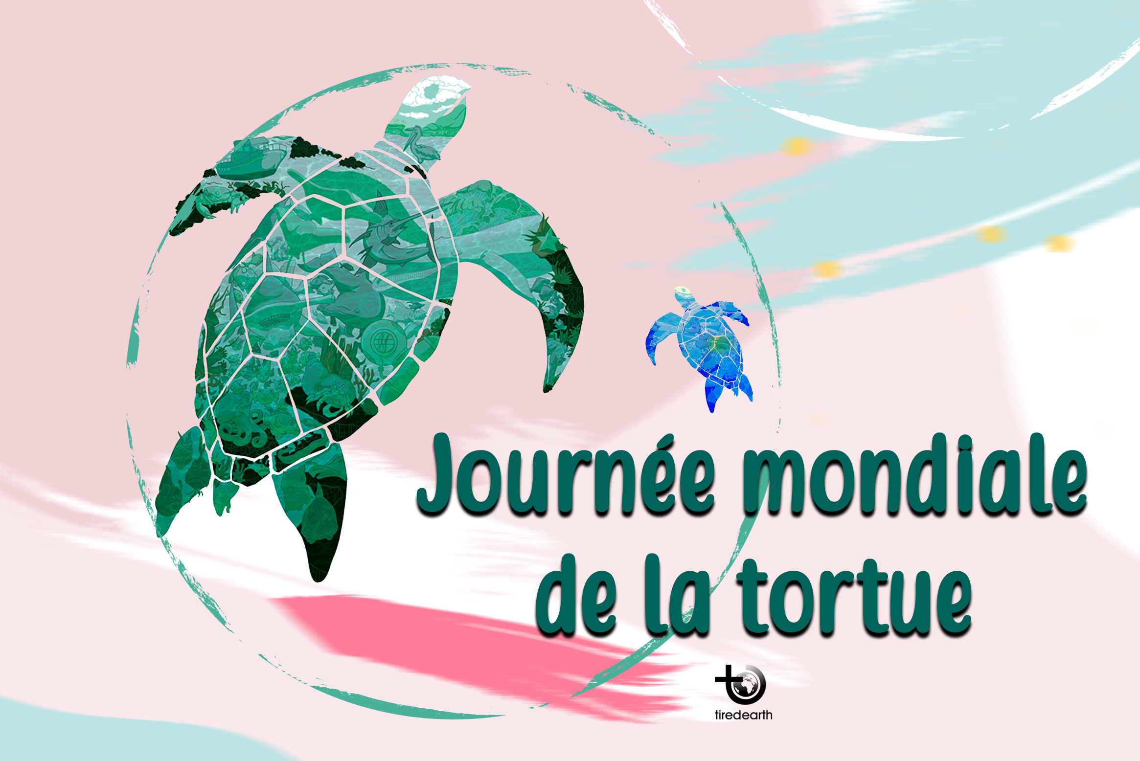 journée mondiale de la tortue