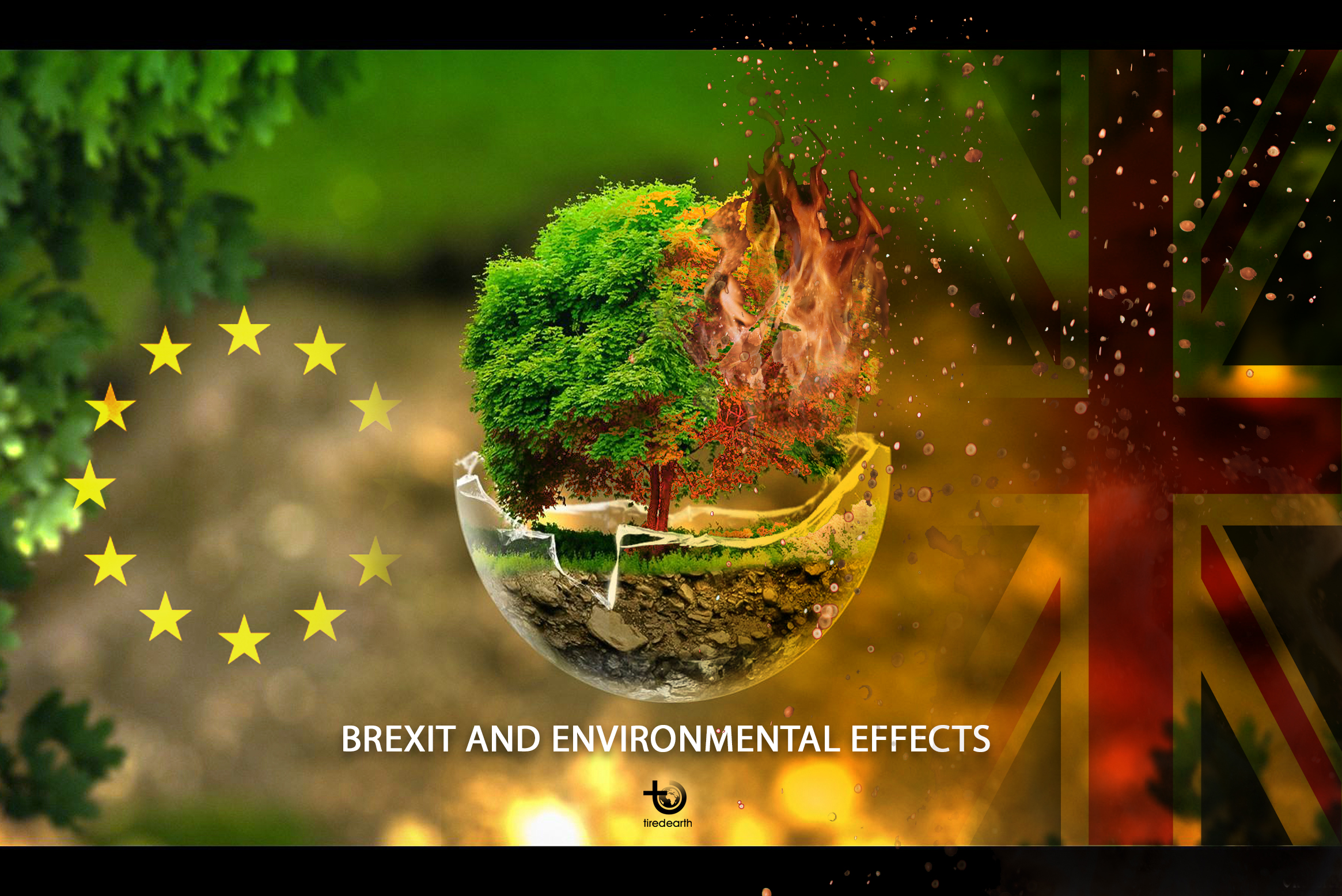 What would Brexit mean for the UK environment? 