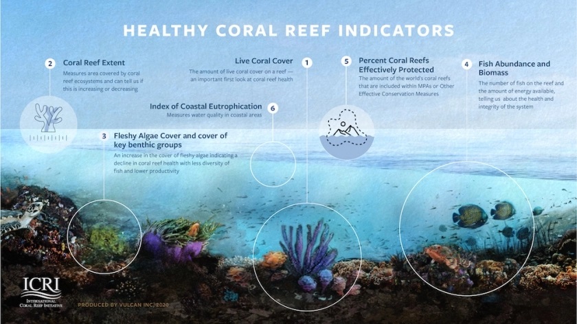 Comment ces indicateurs contribueront-ils à sauver les récifs coralliens ?