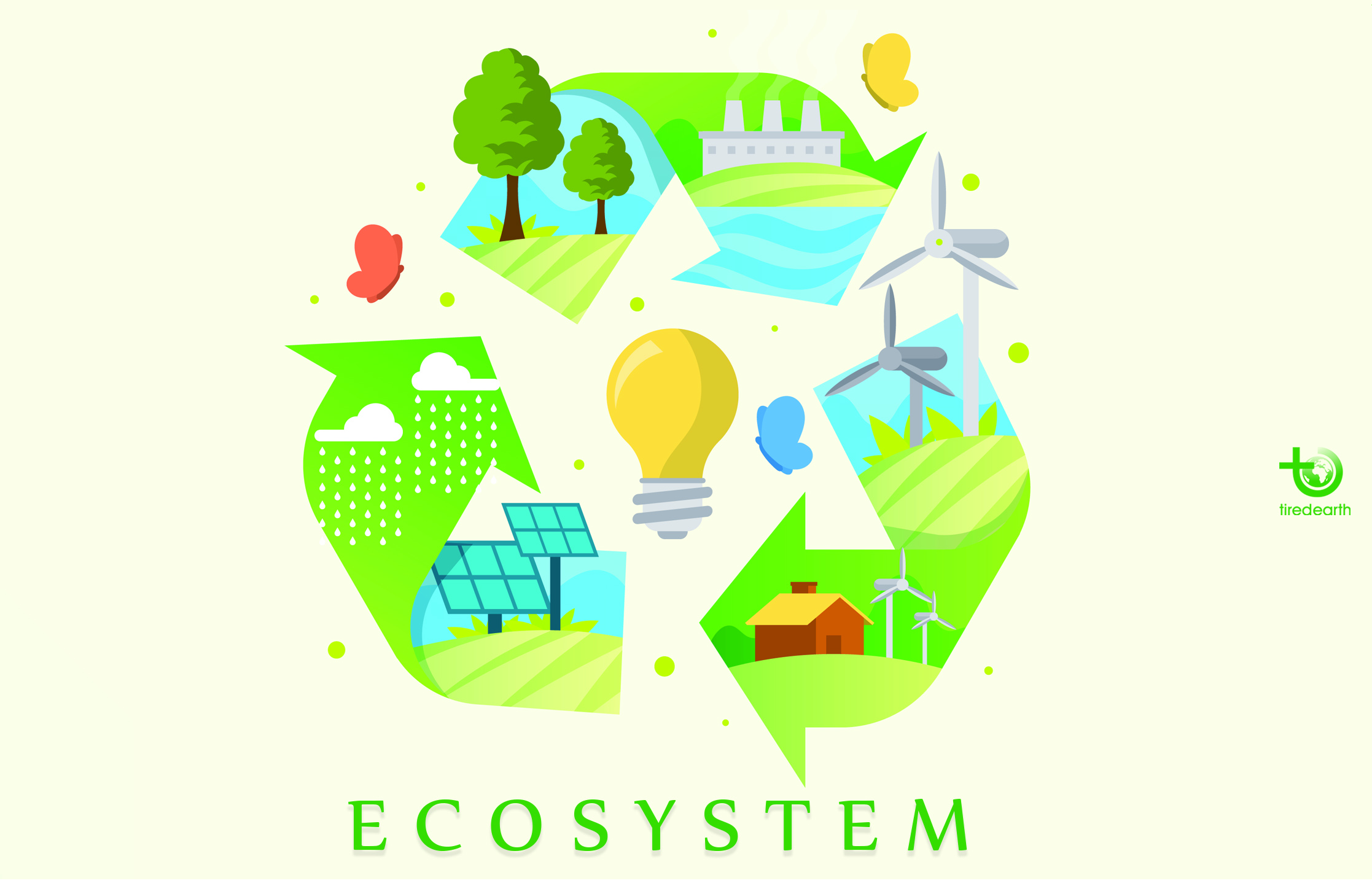What Is an Ecosystem? Components and Its Definition